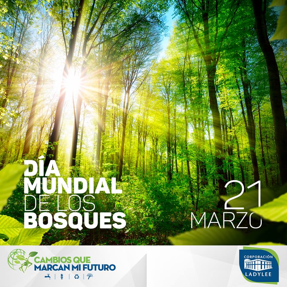 Día Mundial de los Bosques Corporación Lady Lee